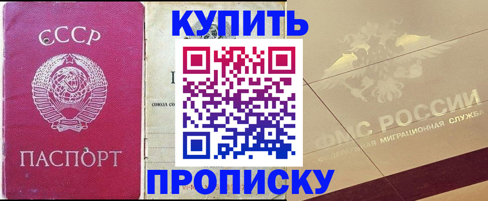 прописка для школы в Лыткарино